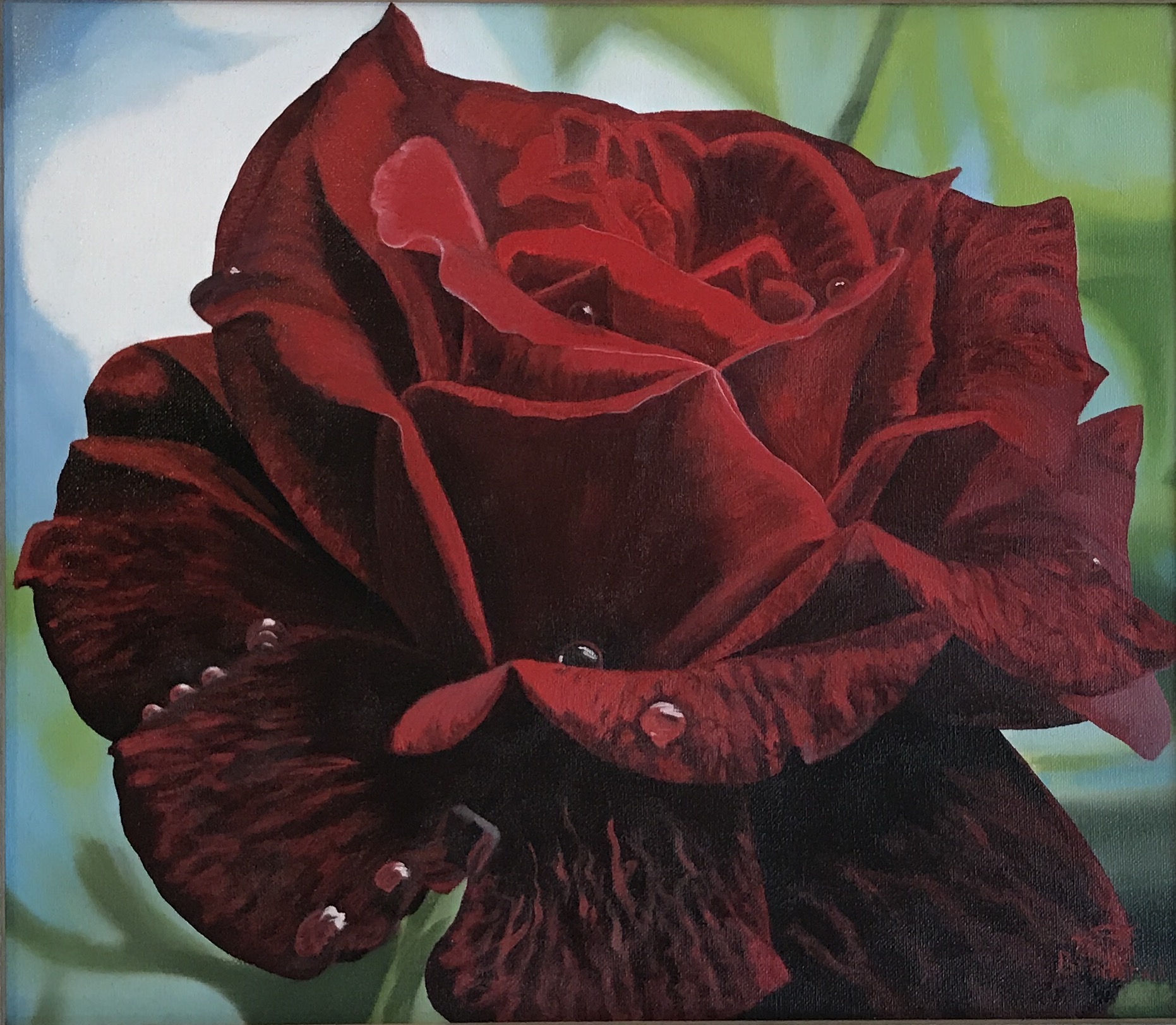 Deep Red Rose, 13&quotx15", oil on canvas – Available