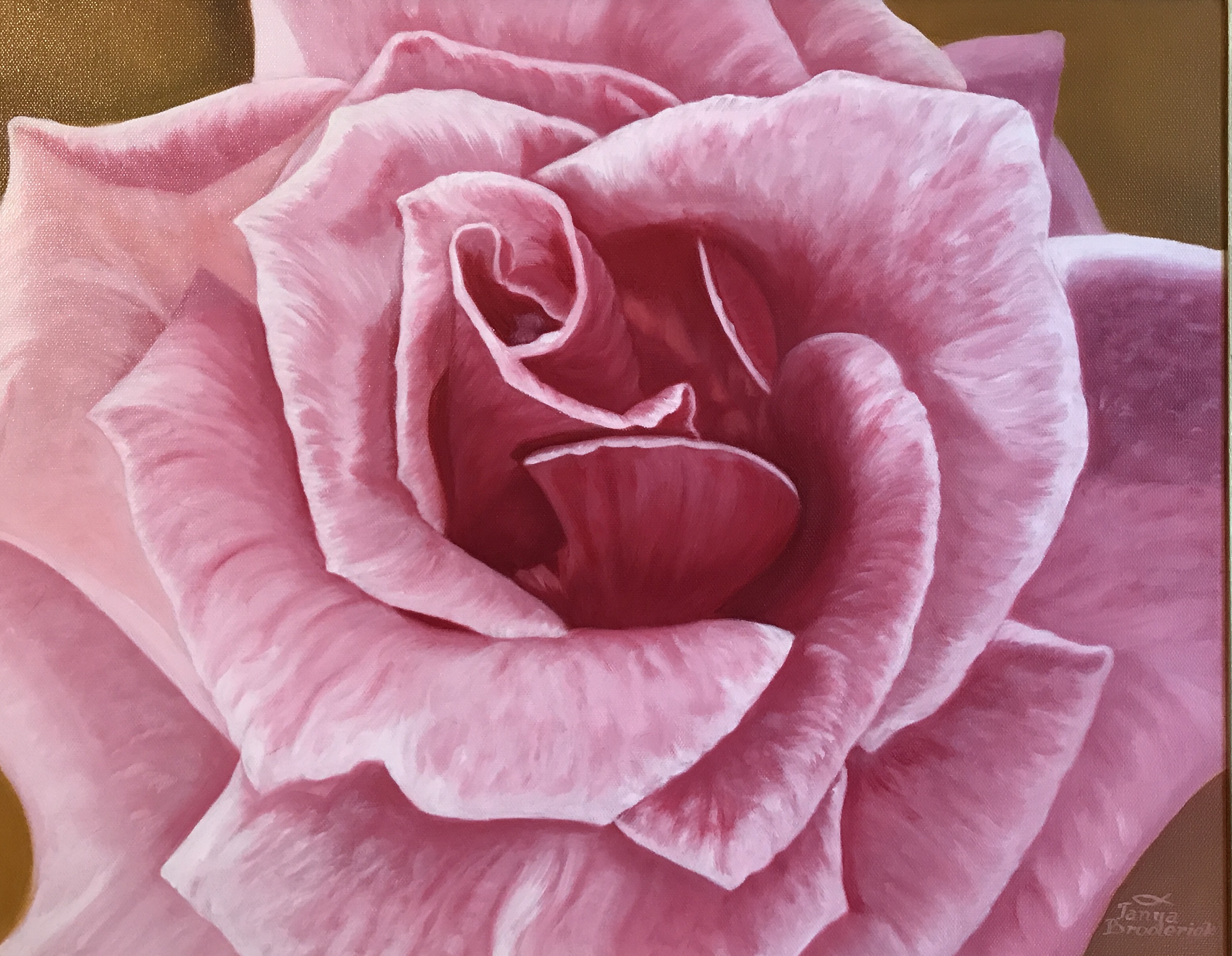 Salmon Pink Rose, 16&quotx20", oil on canvas – Available