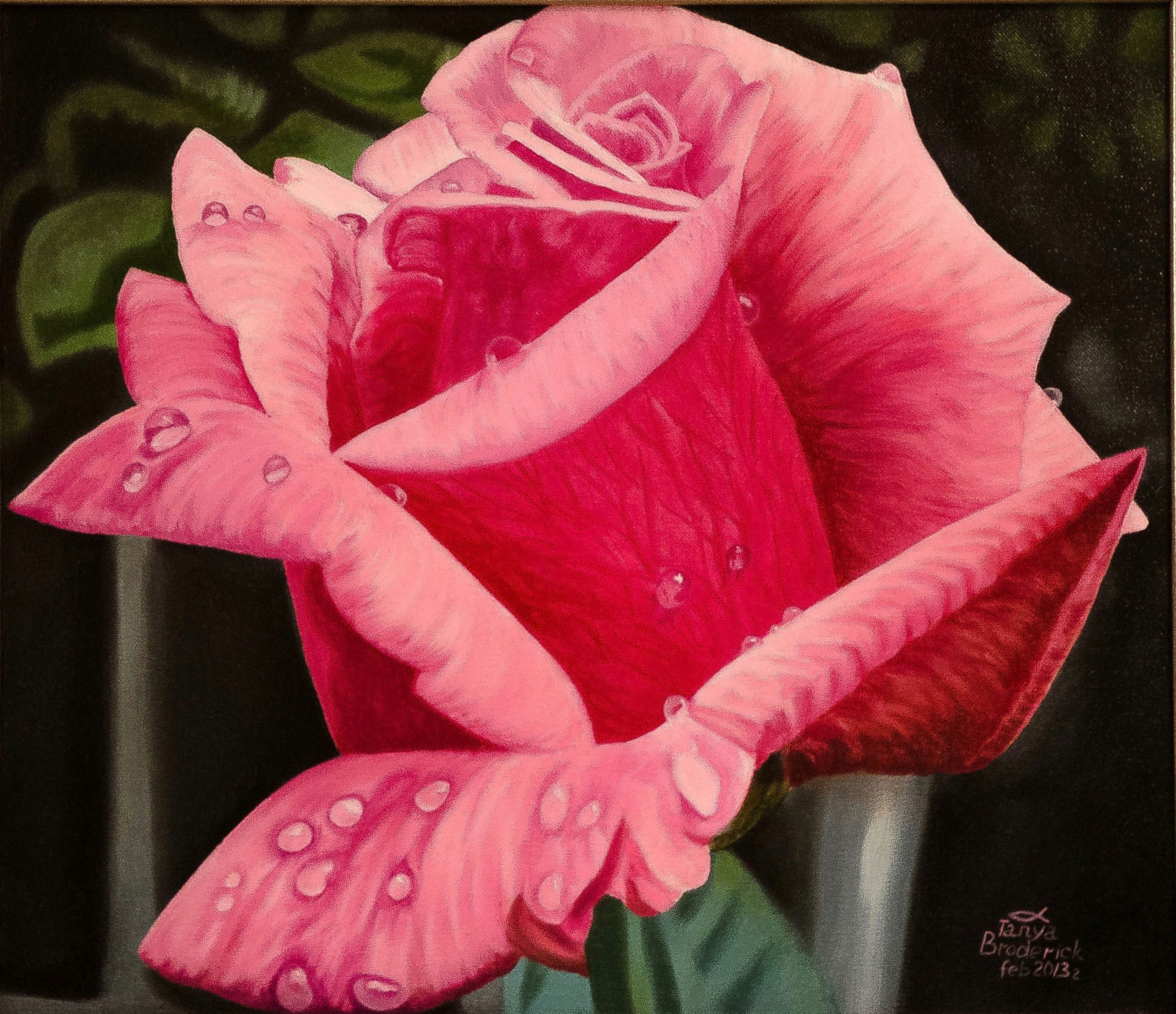 Pink Rose, 13&quotx15", oil on canvas – Sold