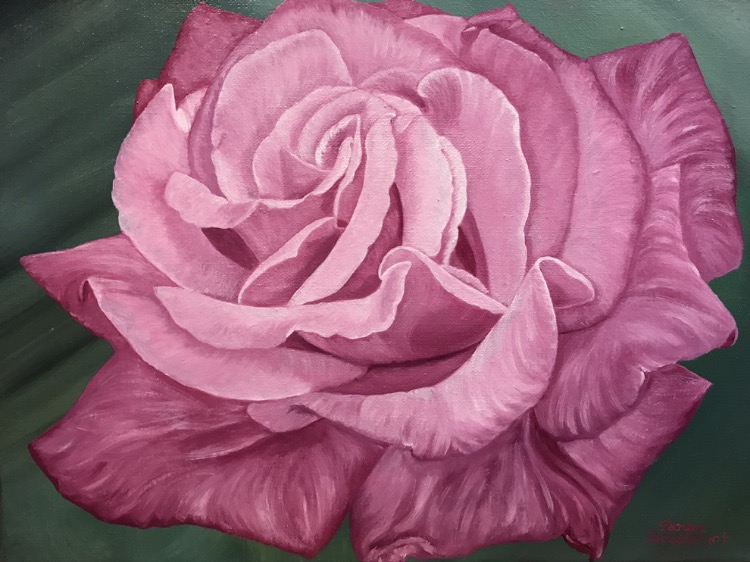Violet Pink Rose, 12&quotx16", oil on canvas – Available