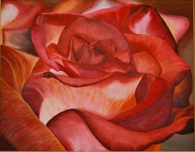 Large Rose, 22&quotx28", oil on canvas  – Available