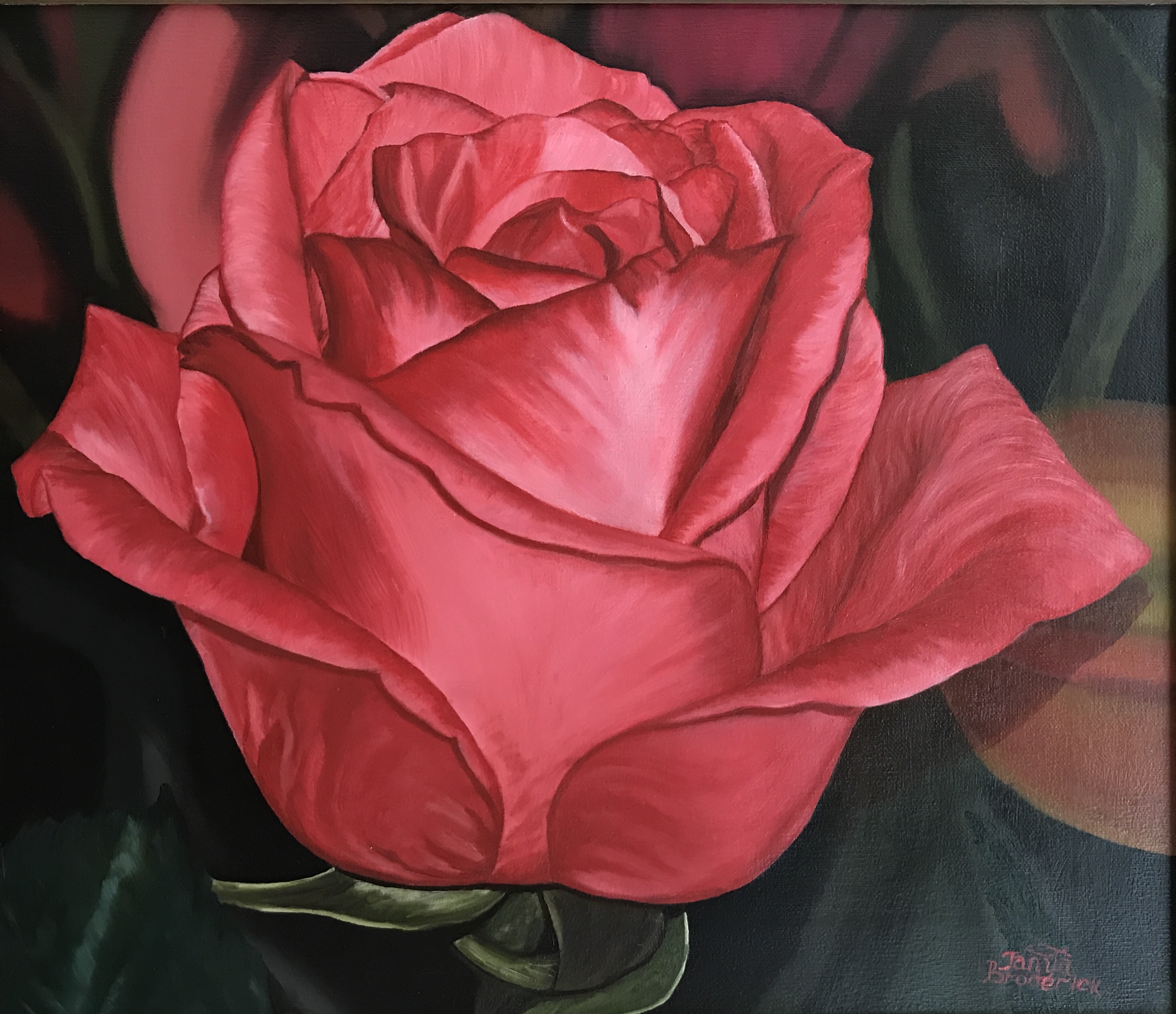 Dark Pink Rose, 13&quotx15", oil on canvas – Available