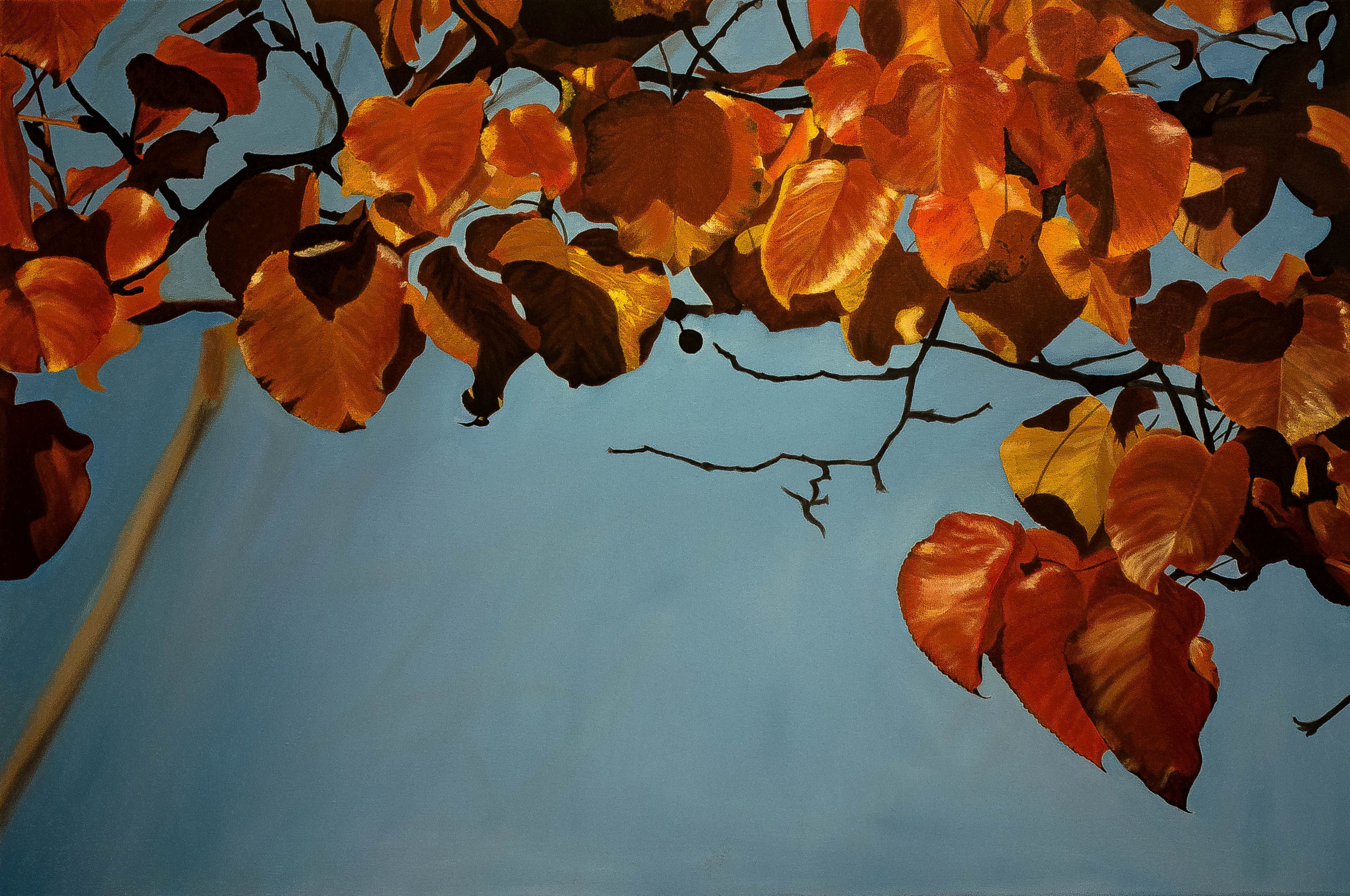 Autumn Leaves, 24&quotx36", oil on canvas – Available