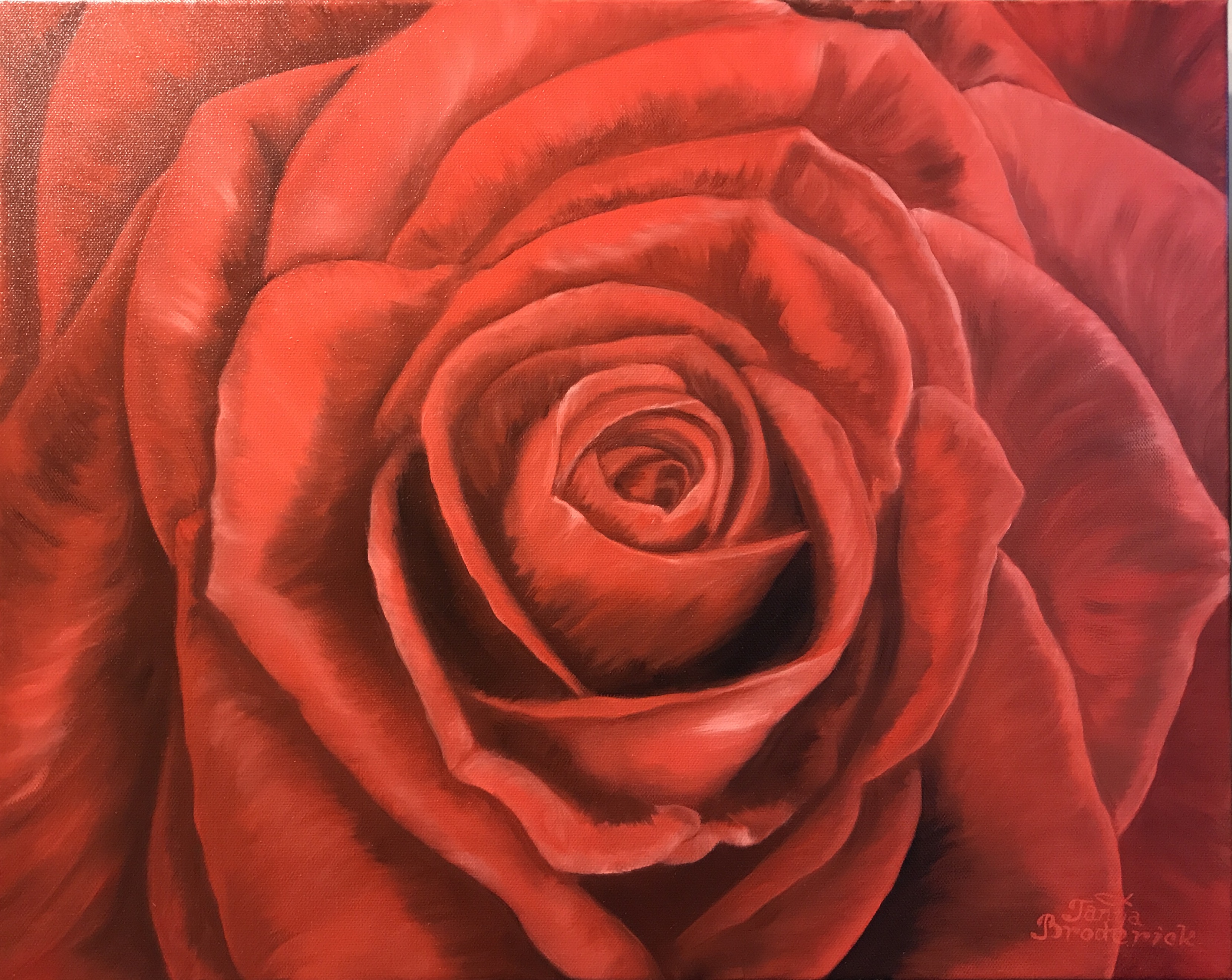 Scarlet Rose, 16&quotx20", oil on canvas – Available