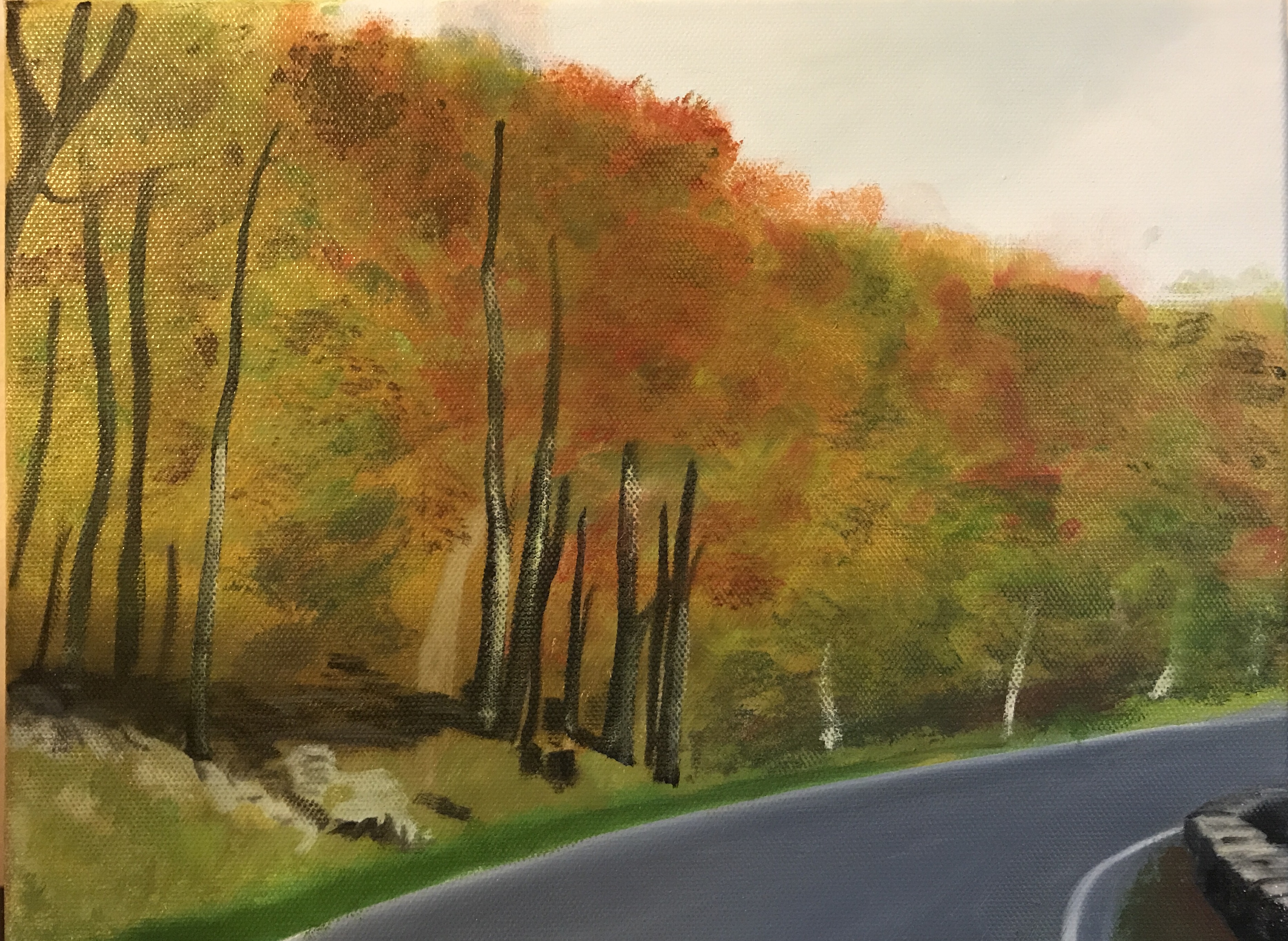 Blue Ridge Parkway Autumn, 9&quotx12", oil on canvas – Available