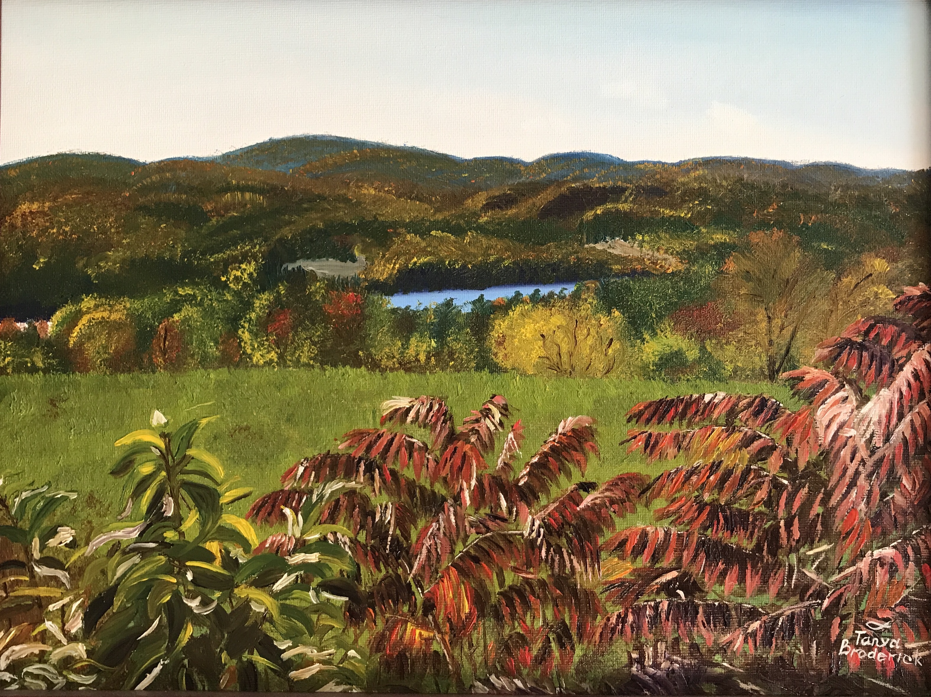 Mountain Lake, NH, 12&quotx16", oil on canvas – Available