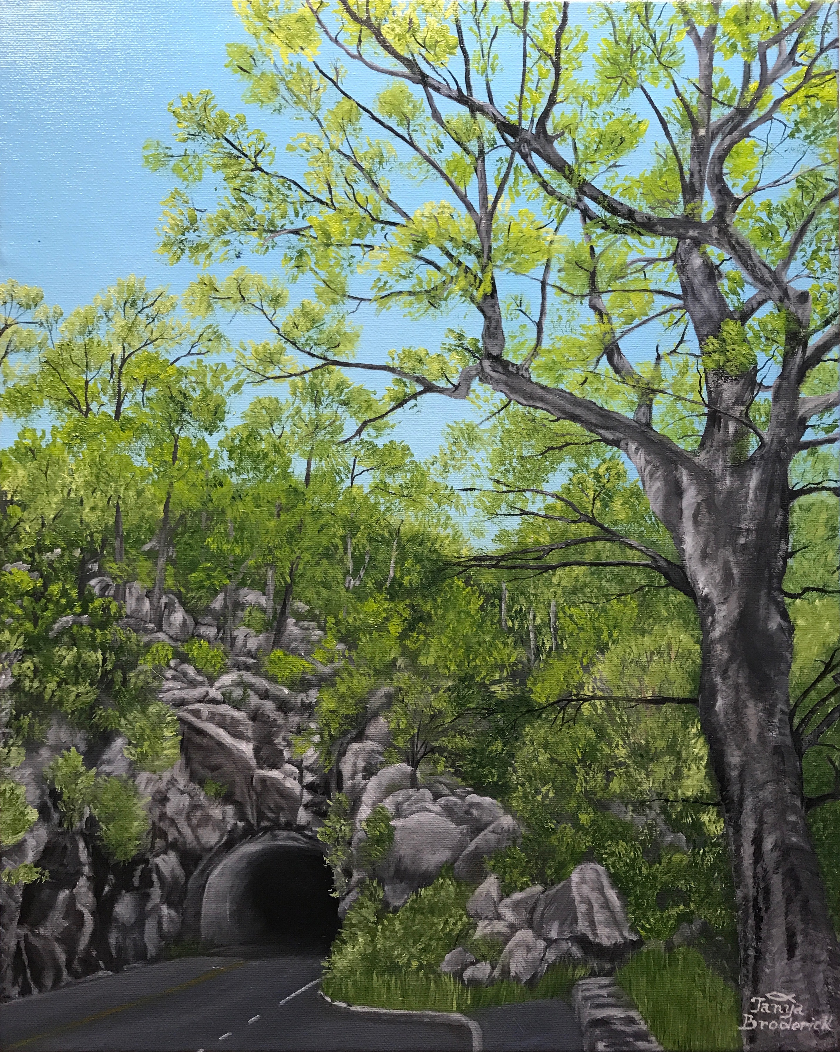 Mary's Rock Tunnel, 16&quotx20", oil on canvas – Available