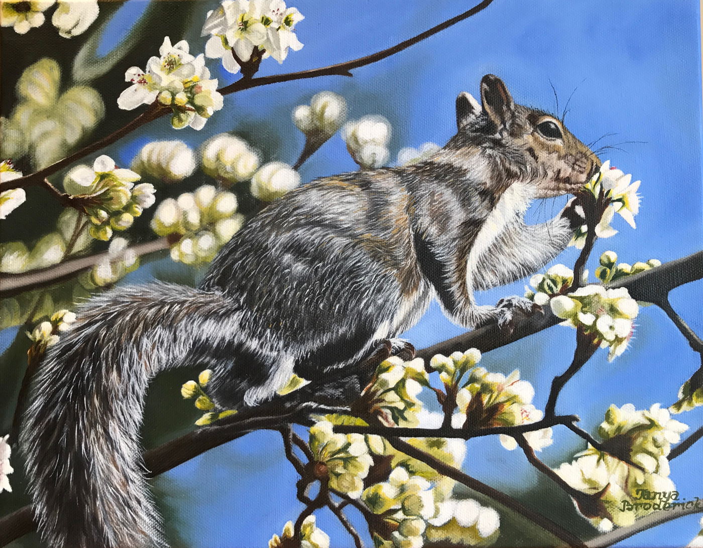 Bonnie, 11&quotx14", oil on canvas – Sold