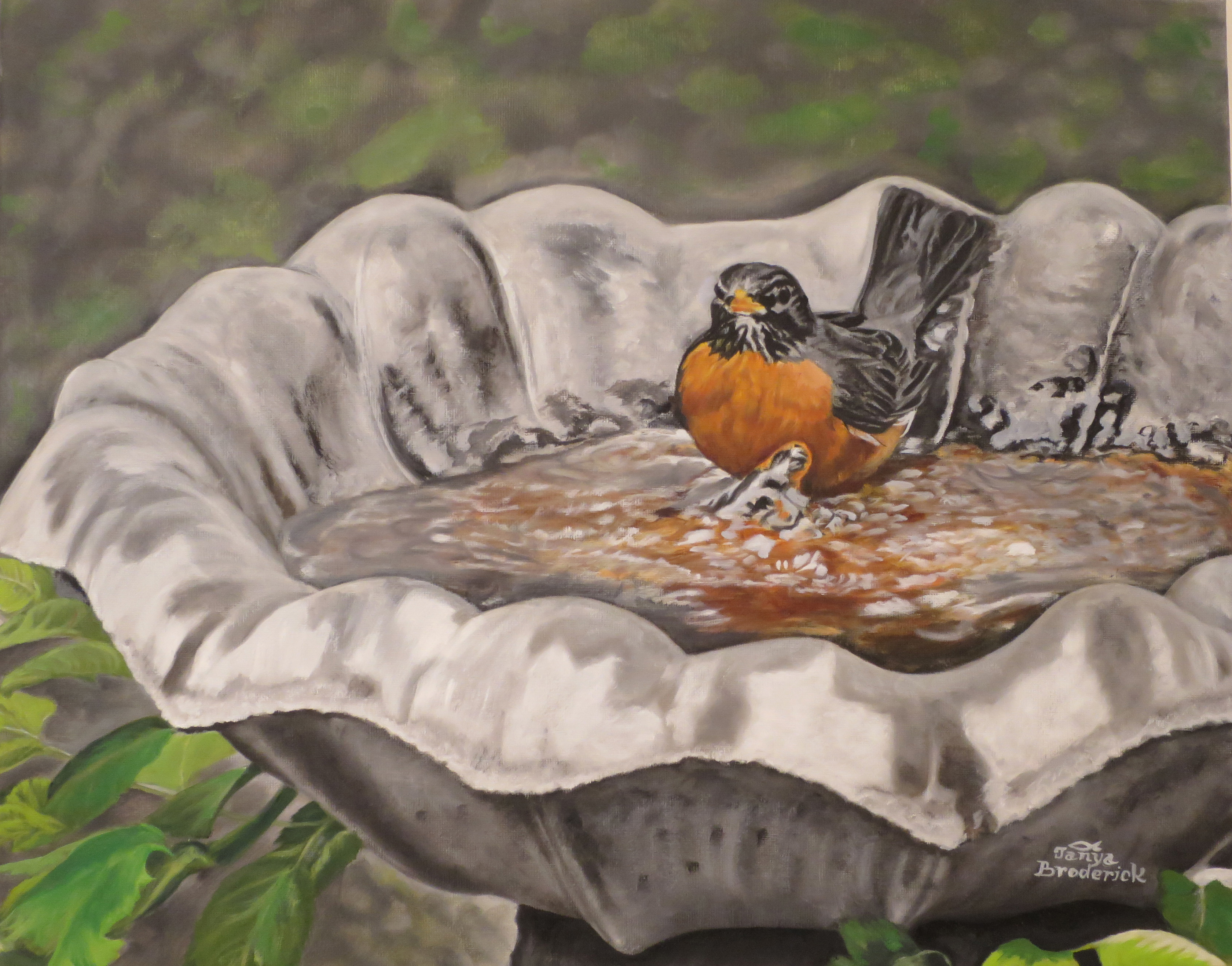 A Robin's Bath, 16&quotx20", oil on canvas – Unavailable