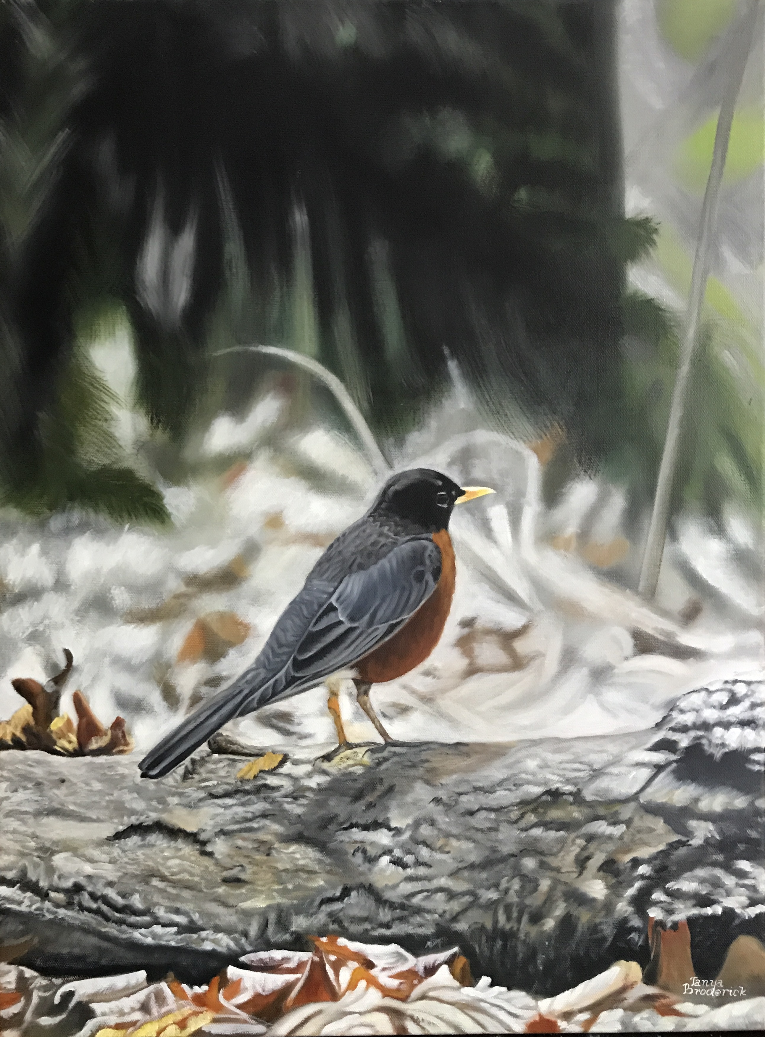 Mr.Robin, 18&quotx24", oil on canvas – Available