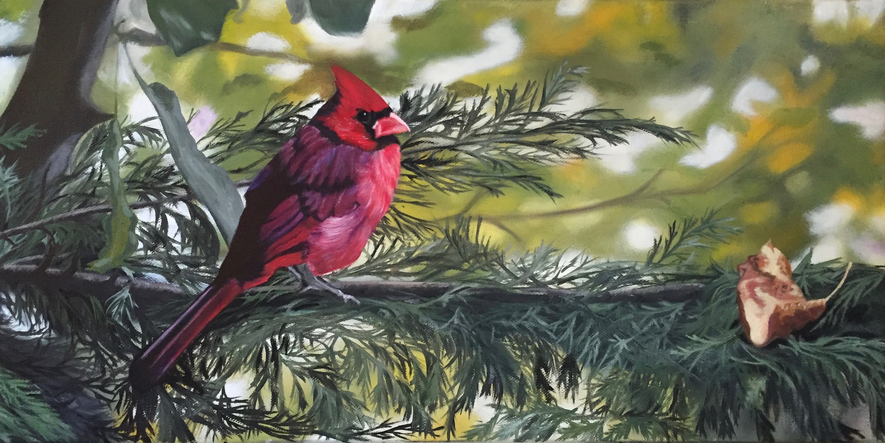 Cardinal Awating Spring, 10&quotx20", oil on canvas – Available
