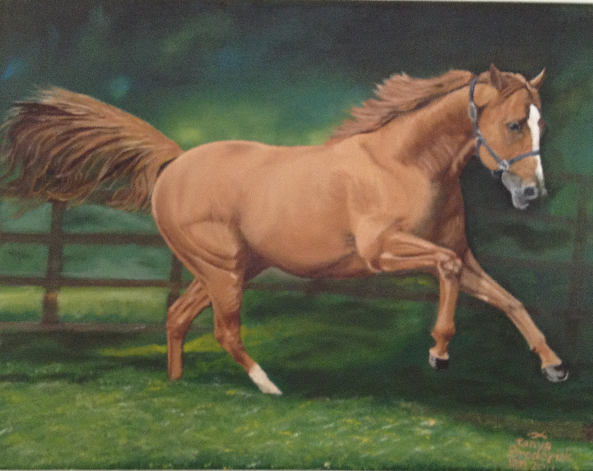 Brown Stallion, 11&quotx14", oil on canvas – Unavailable