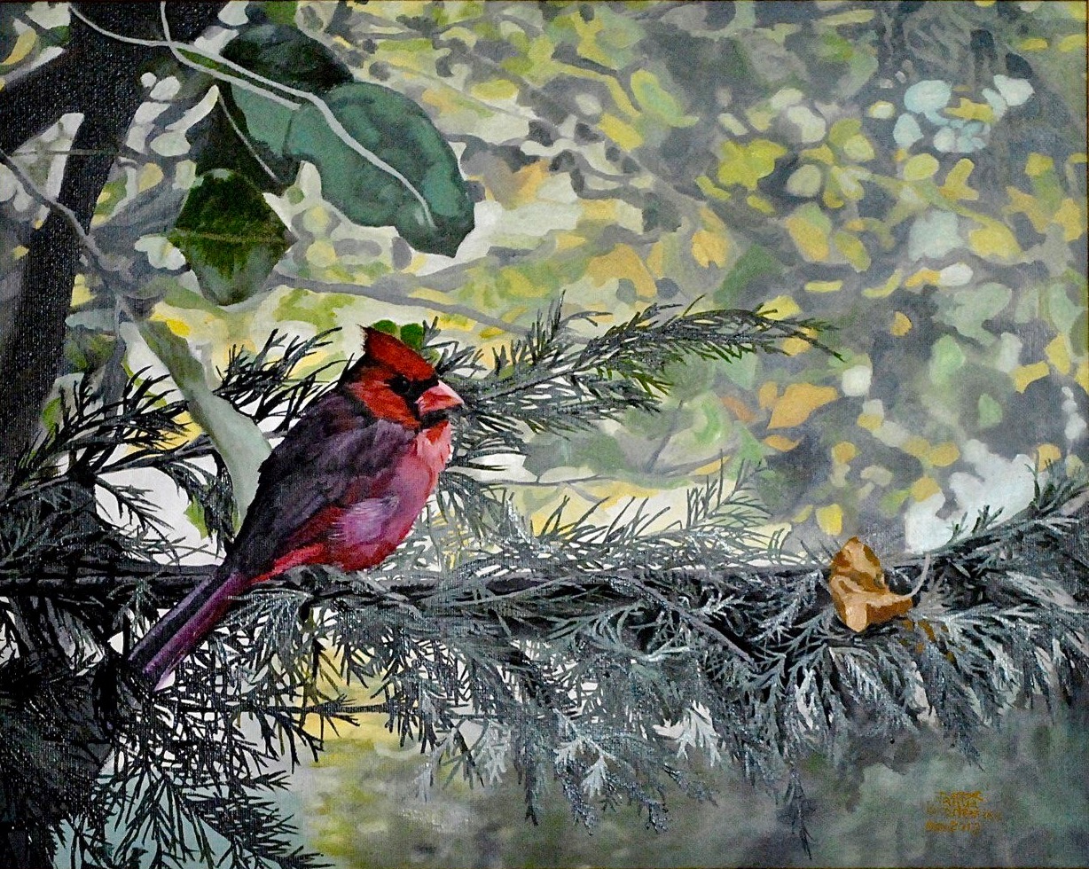 Cardinal on Spruce, 18&quotx22", oil on canvas – Sold 