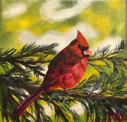 Cardinal on Spruce, 5&quotx5", oil on canvas – Sold 