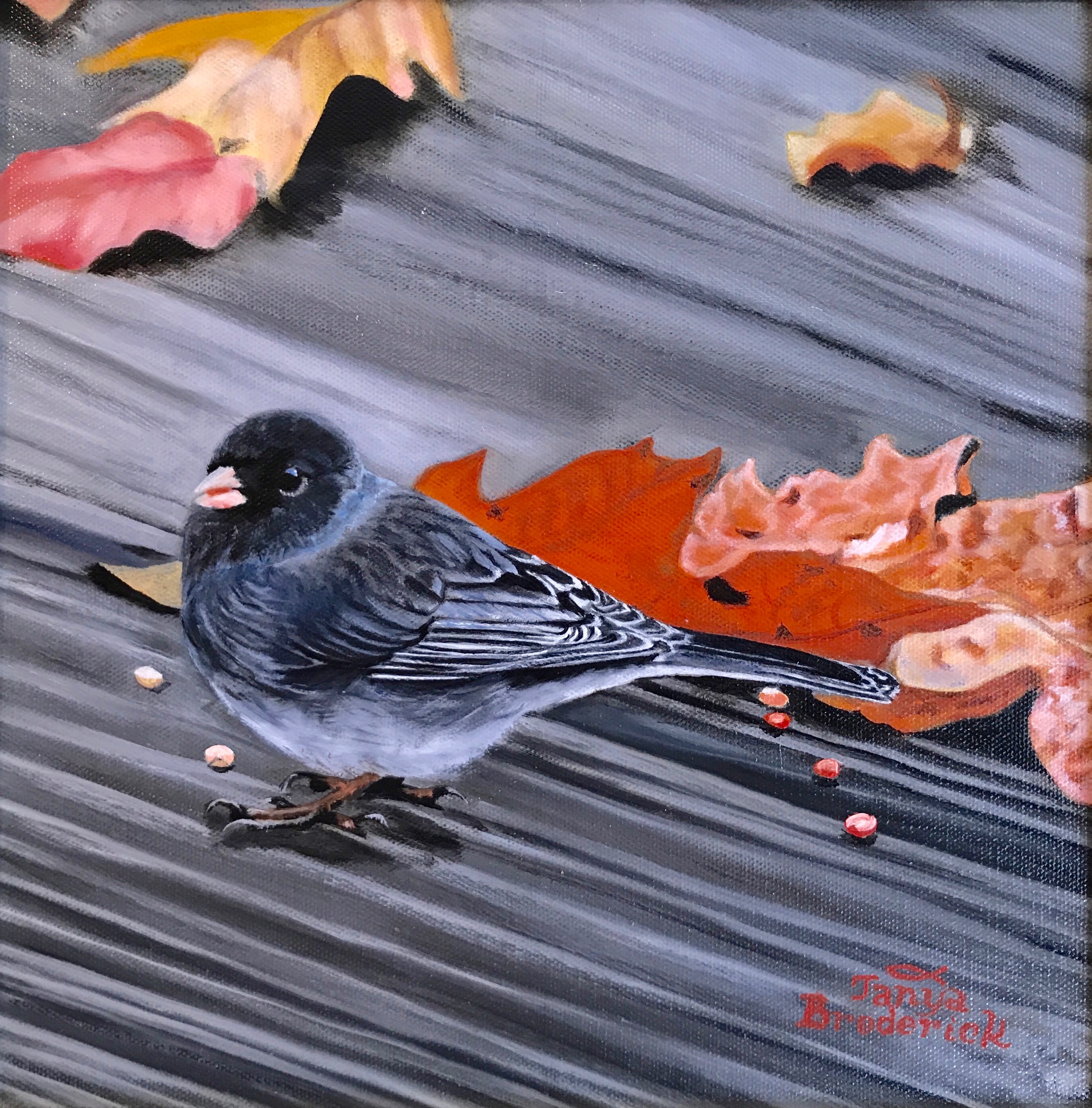 Feather Friend, 12&quotx12", oil on canvas – Available